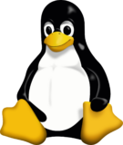 Las 7 mejores VPN para Linux en 2024 🐧